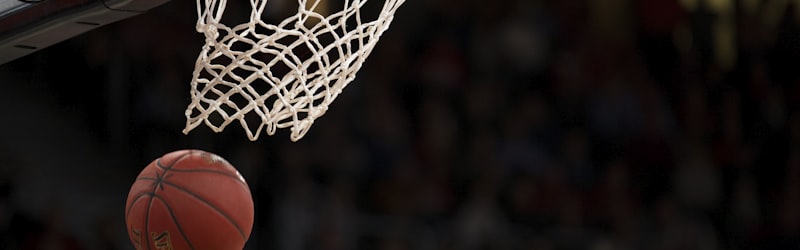 卢卡·东契奇头像 - 独行侠球员